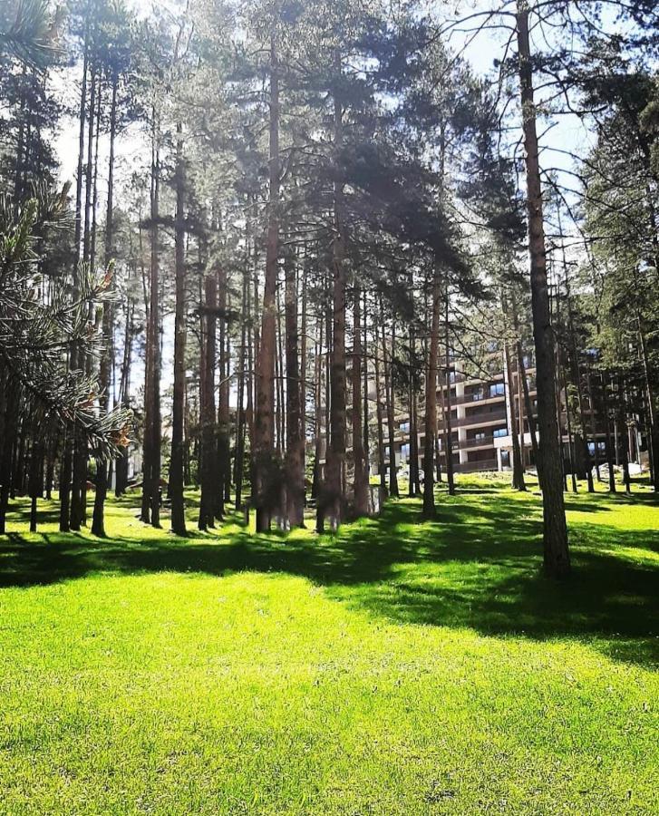 Panorama Lux Apartmani Vila Pekovic Zlatibor Ngoại thất bức ảnh